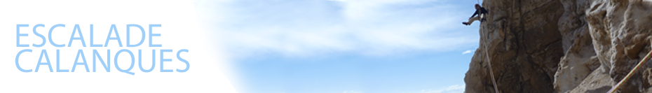 header