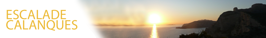 header